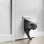 Weatherproof Comfort: The Power of Aluminium Pet Doors